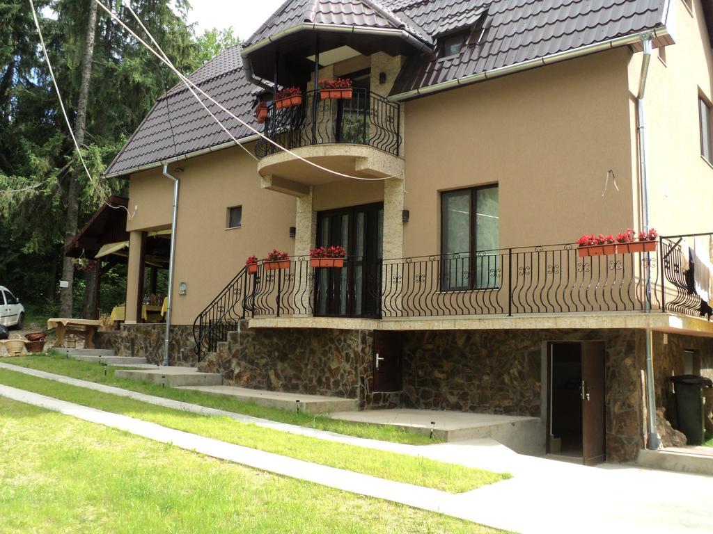 Cabana Suvenirurilor Скэришоара Экстерьер фото