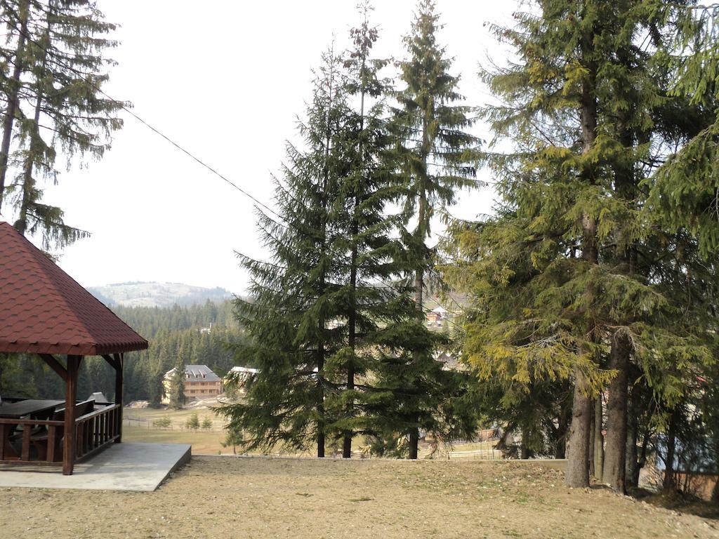 Cabana Suvenirurilor Скэришоара Экстерьер фото