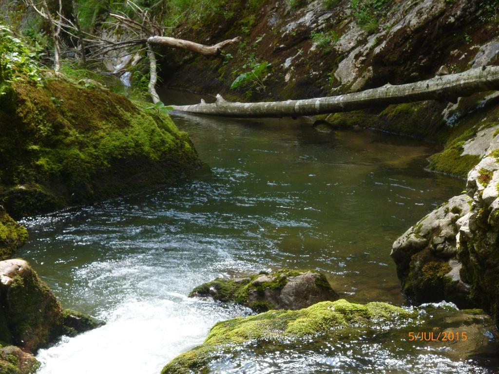 Cabana Suvenirurilor Скэришоара Экстерьер фото